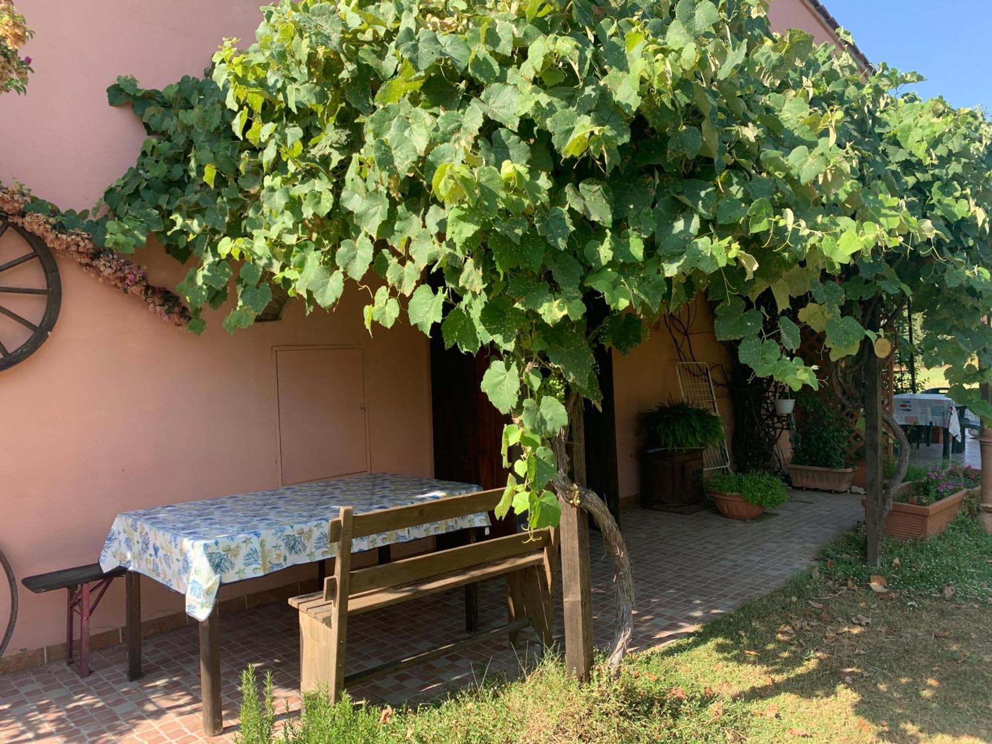 Podere Girasoli Piombino Exterior photo